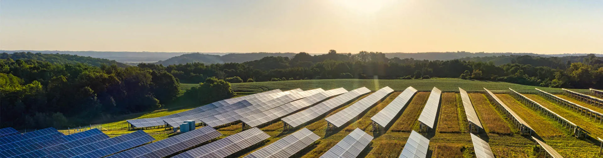 Impianto fotovoltaico per aziende: quanto conviene davvero?